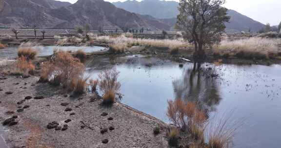 赤金峡水库胡杨林湿地