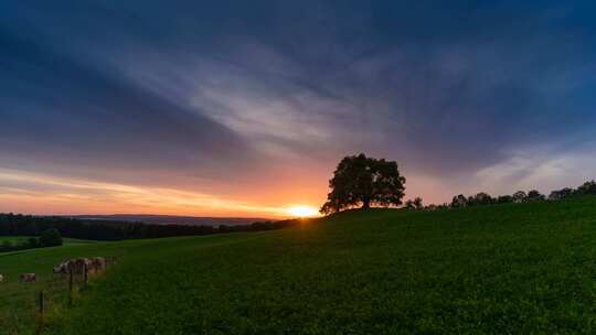 黄昏田野树木夕阳延时