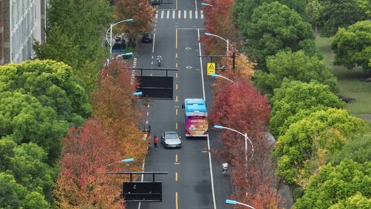 杭州钱塘区学林街秋景航拍