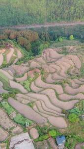 航拍大山梯田农田