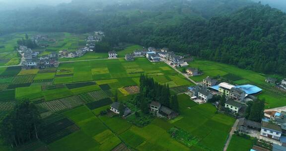 航拍美丽中国新农村绿油油田野环绕乡村