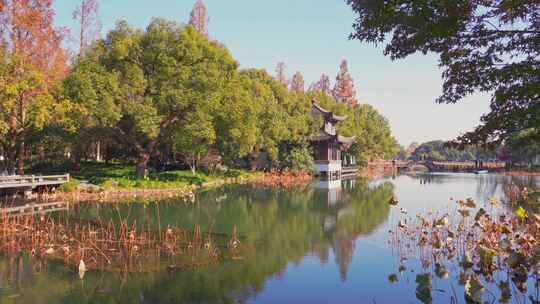 杭州西湖曲院风荷秋天水榭残荷风景