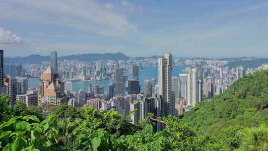 香港维港中环海洋城市晴天延时