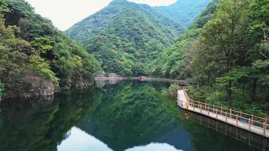 绿色森林湖泊水面航拍