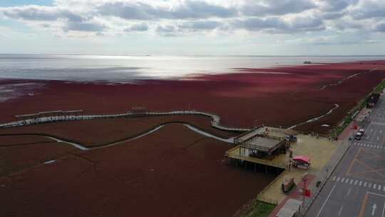 辽宁盘锦红海滩航拍