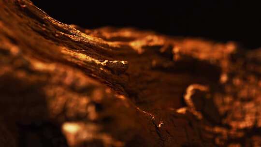 枯木纹理木纹历史感