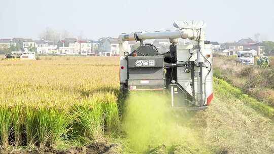 收割机在田野间收割水稻的场景