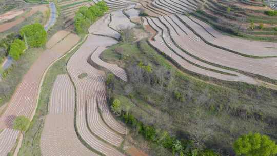 宝鸡梯田  汉封梯田