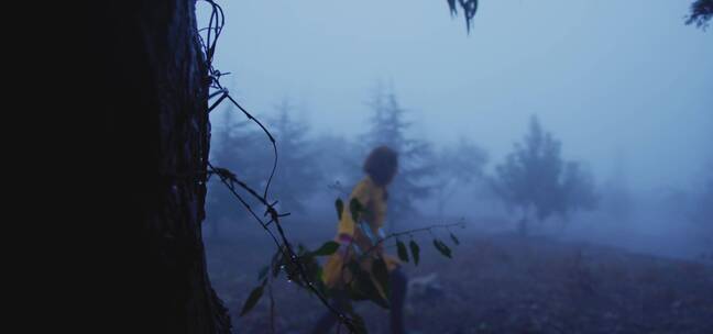 女孩在雾气弥漫的大树下奔跑