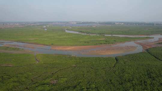 湛江高桥红树林保护区航拍