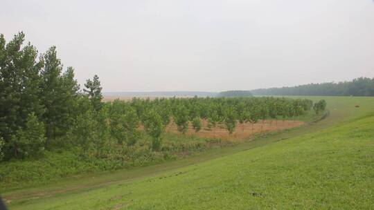 水岸湖边池塘山坡草地