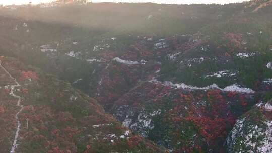 秋日红叶森林航拍满山红叶