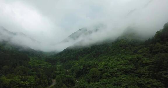 秦岭 云海 小河 山 生态航拍