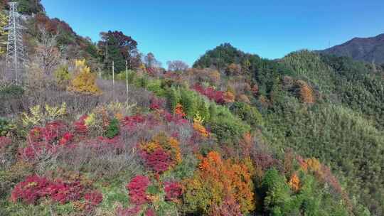 四明山秋天秋景秋色 茅镬公园