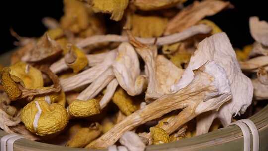 东北特产鸡油菌干蘑菇黄金股小黄蘑菇榆黄蘑