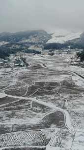 竖版航拍南方乡村田园农田梯田雪景