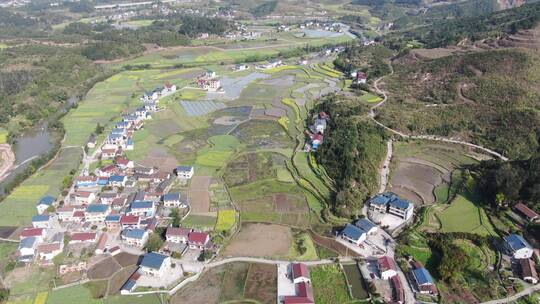 航拍美丽乡村田园农业种植农田稻田