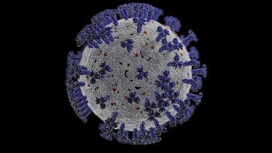冠状病毒微观3D动态效果