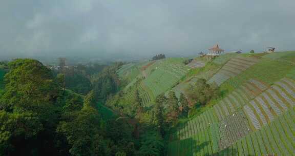 航拍山谷上美丽的梯田蔬菜种植园，b.