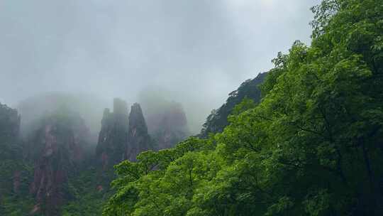 安徽黄山风景区雨后云海水墨风景区宣传片