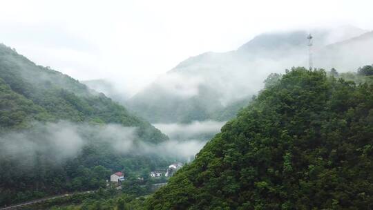 秦岭 云海 生态 大自然 航拍