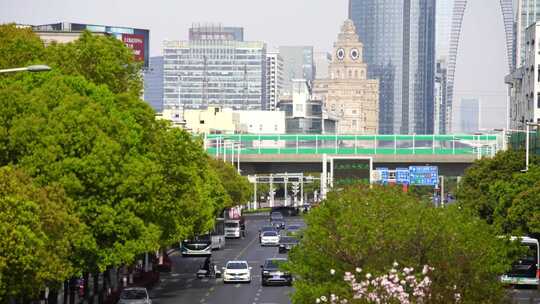 城市道路绿色交通车流