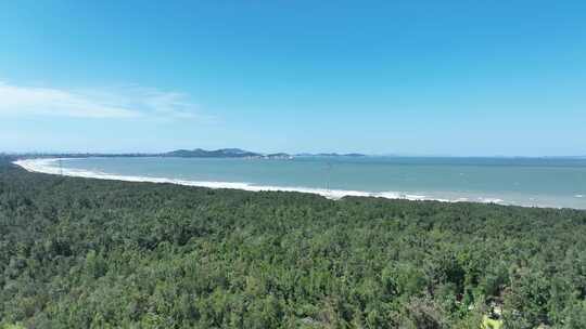 海岸线森林航拍海边森林大海树林海岸松树林