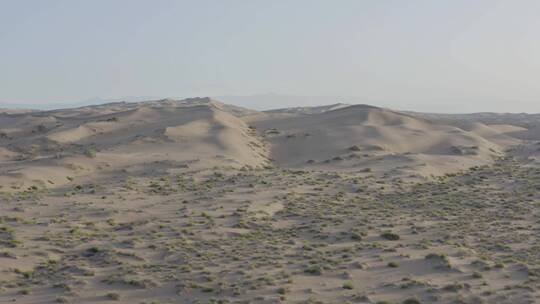 沙漠里的植物航拍
