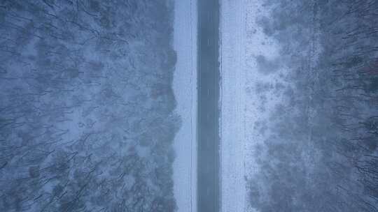 冬季森林里雪地公路