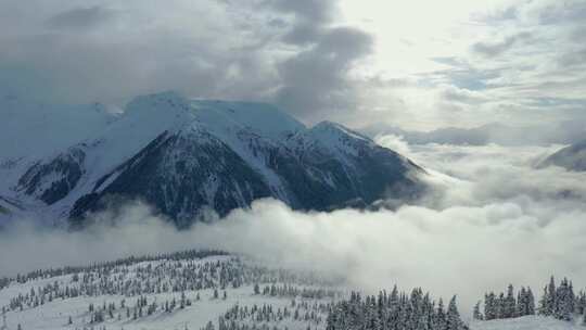 航拍唯美雪山雪景雪地森林视频素材模板下载