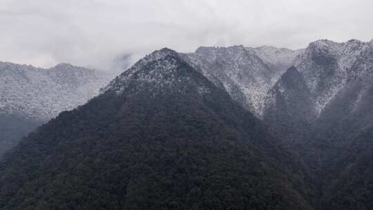 严寒的山顶结冰雪淞视频素材模板下载