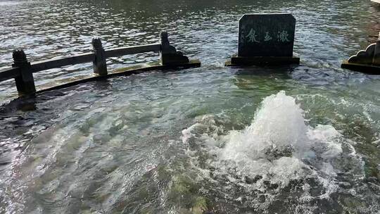 济南百脉泉景区，名泉水喷涌势头强劲