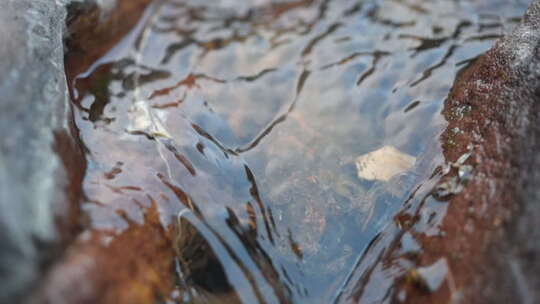 流水 小溪 生命源泉 流动的水 慢放 清水