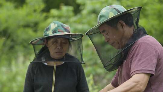 蜂农打开蜂箱交流-合集