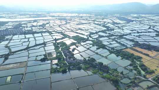 湖州鱼米之乡水塘农田