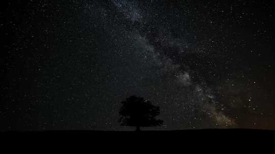 星空银河星夜下的一棵树