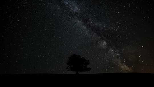 星空银河星夜下的一棵树视频素材模板下载