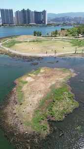 大理下关洱海月湿地航拍