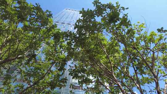 仰视城市的高楼风景阳光穿过树林视频素材模板下载