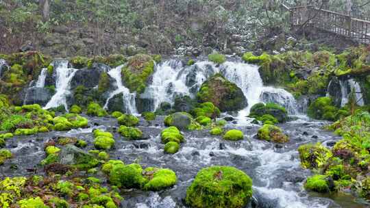 水青苔山泉水流水滴水风景森林自然大自然