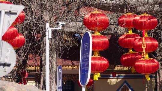【镜头合集】春节民族园挂红灯笼视频素材模板下载