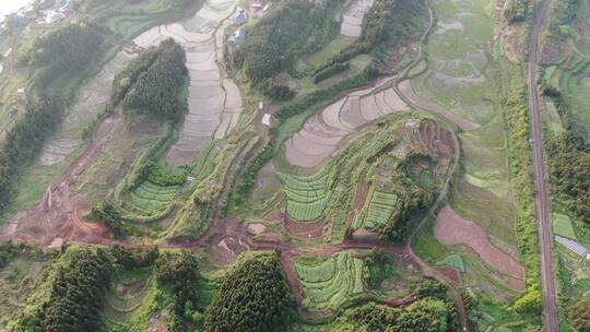 航拍南方春耕农业种植农田农作物