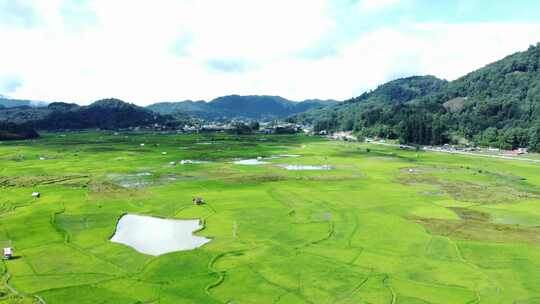 阿鲁纳恰尔邦稻田鸟瞰图。