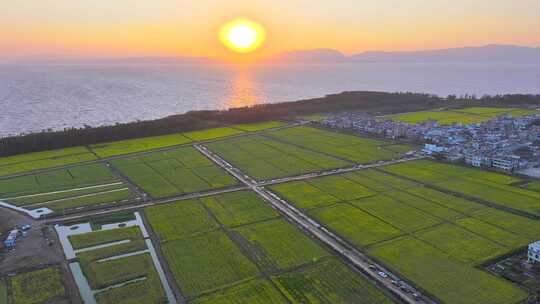 昆明江尾村油菜花航拍