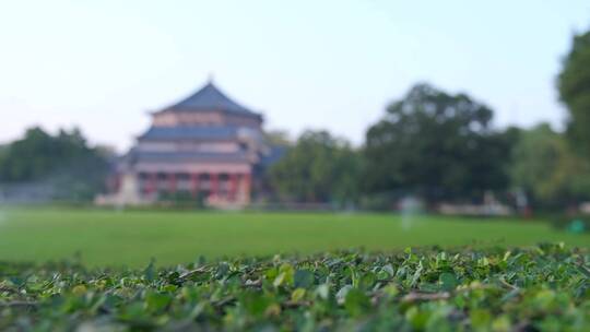 广州中山纪念堂绿色草地树林风光