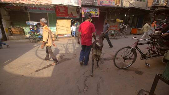 男人和山羊在印度街上
