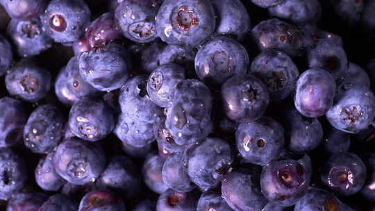 蓝莓 水果 食品 食物 食材