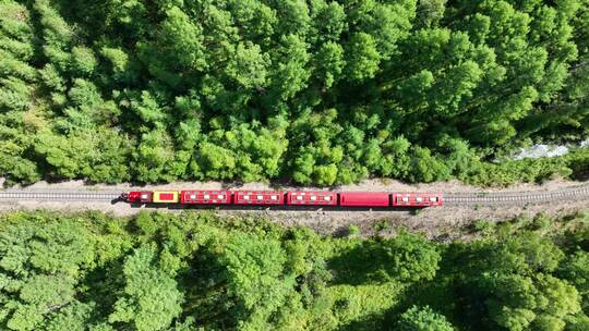 航拍森林旅游列车