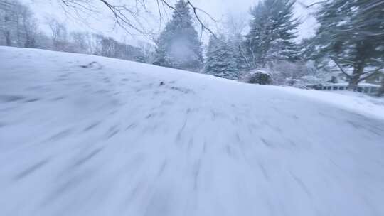 航拍白雪森林树林房屋雪景雪乡