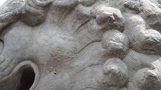 石狮子雕塑石刻狮子滚绣球视频素材模板下载